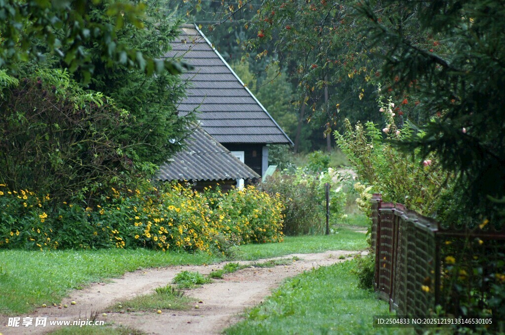 林间小屋 静谧田园风光