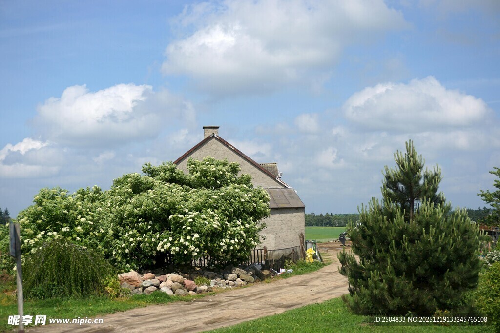 乡村小屋 绿意环绕的宁静处