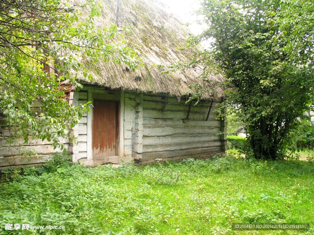 林间木屋 静谧田园景象