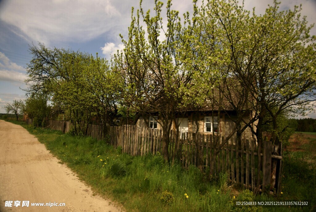 乡村小路旁的绿树围栏