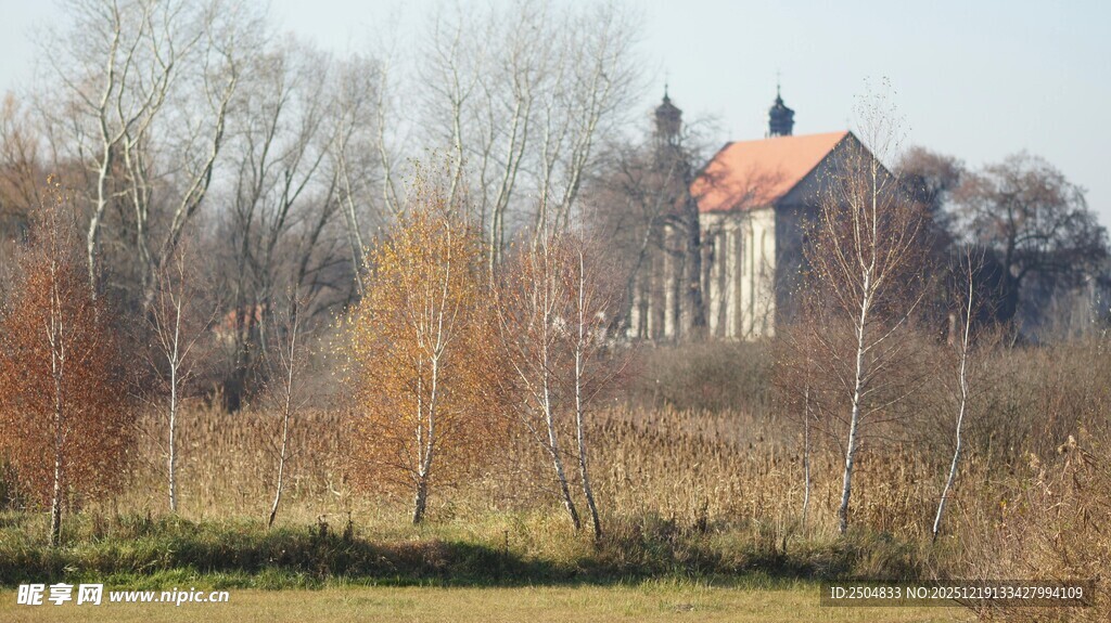 乡村田野边的红顶小屋