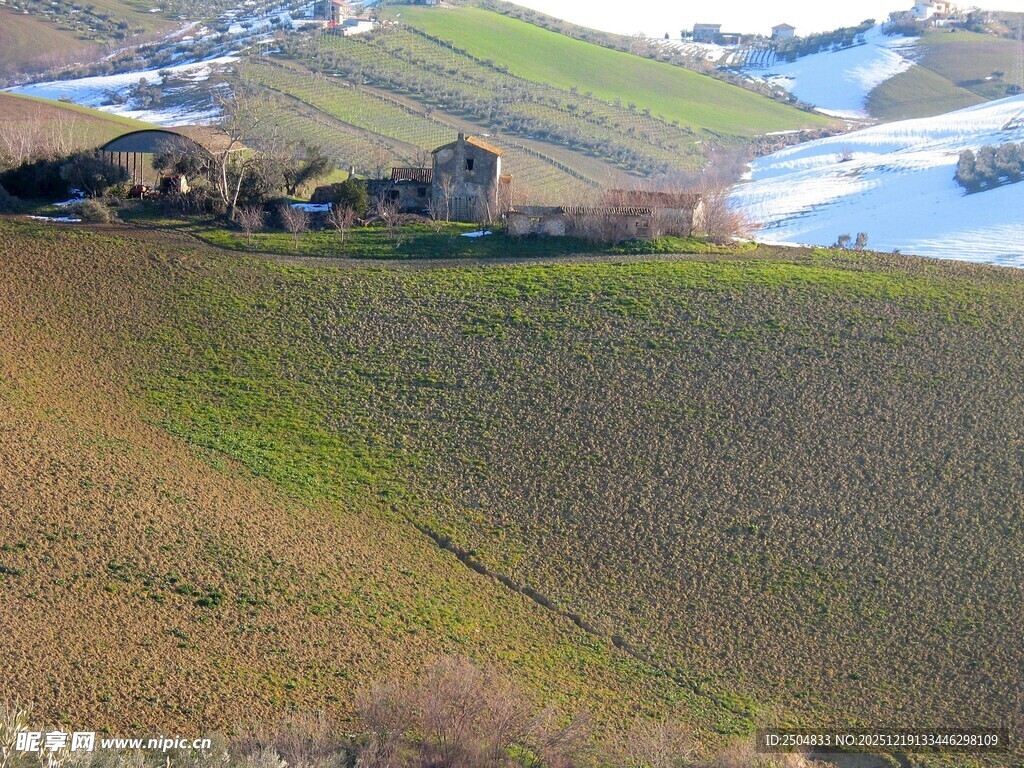 田园风光中的开阔农田