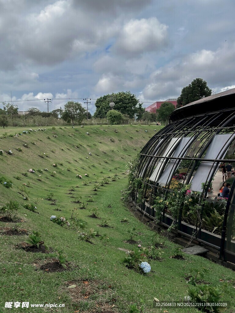户外绿植温室景观