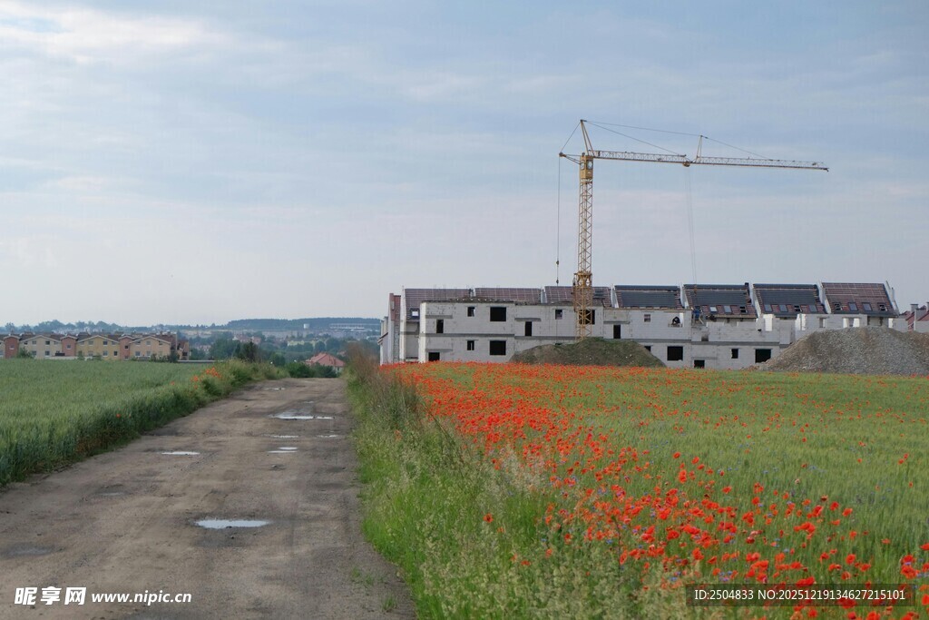 田野旁的建筑施工场景
