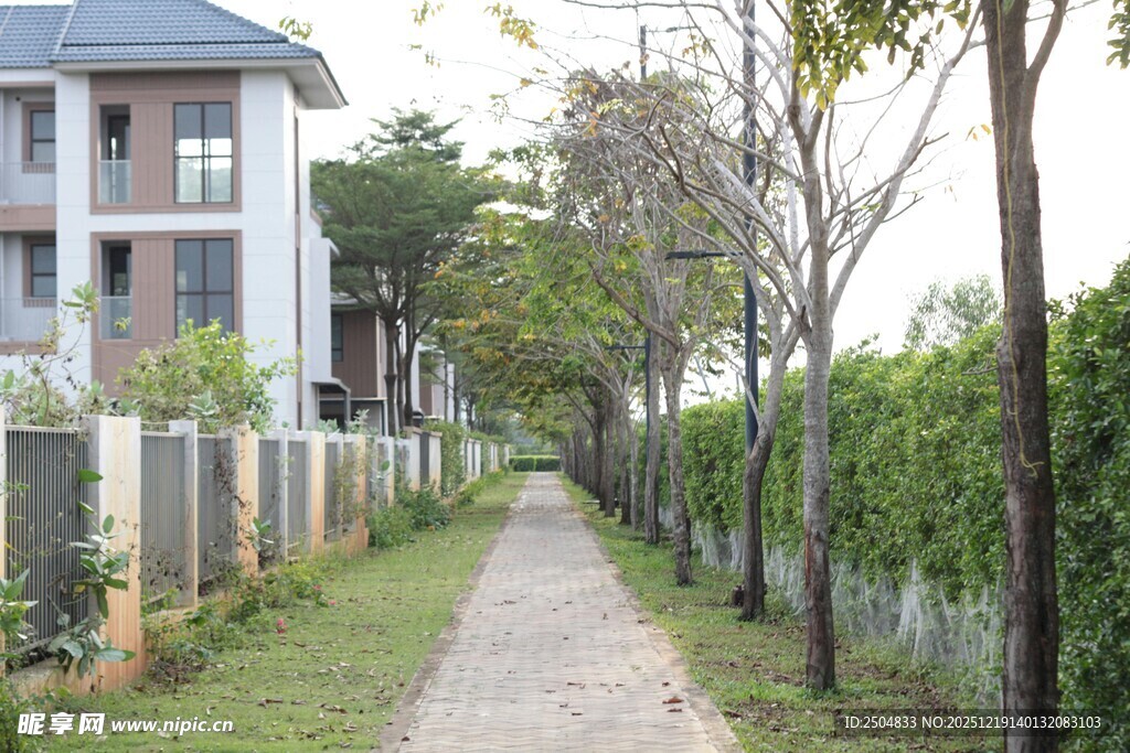 小区旁幽静的林荫小道