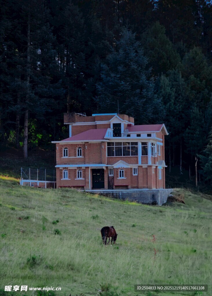 草原上的红砖建筑与牛
