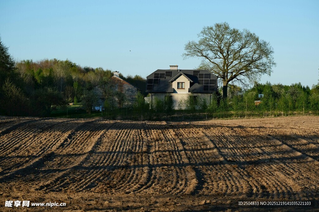 田野中的静谧乡村小屋