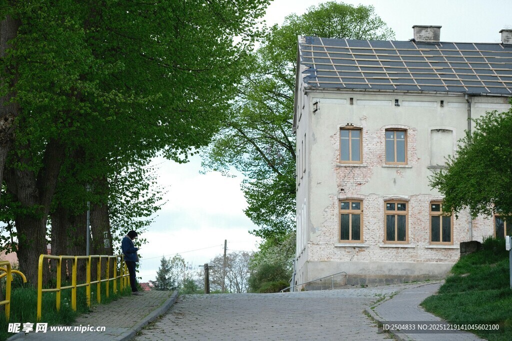 宁静乡村小路旁的白色建筑