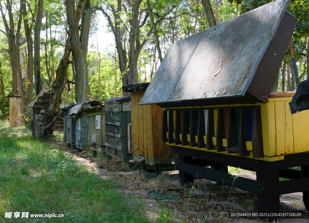林间复古火车车厢