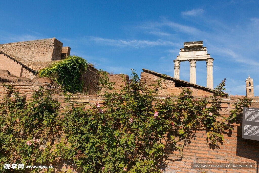 古老建筑旁的葱郁绿植