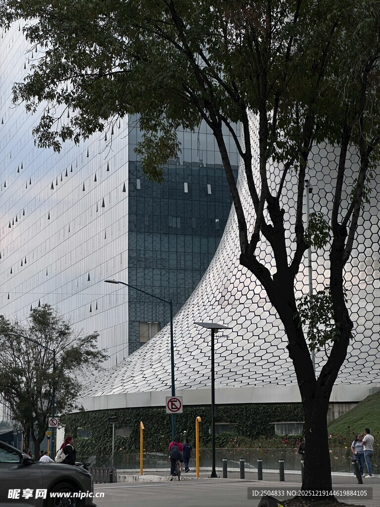 现代建筑旁的树木景观