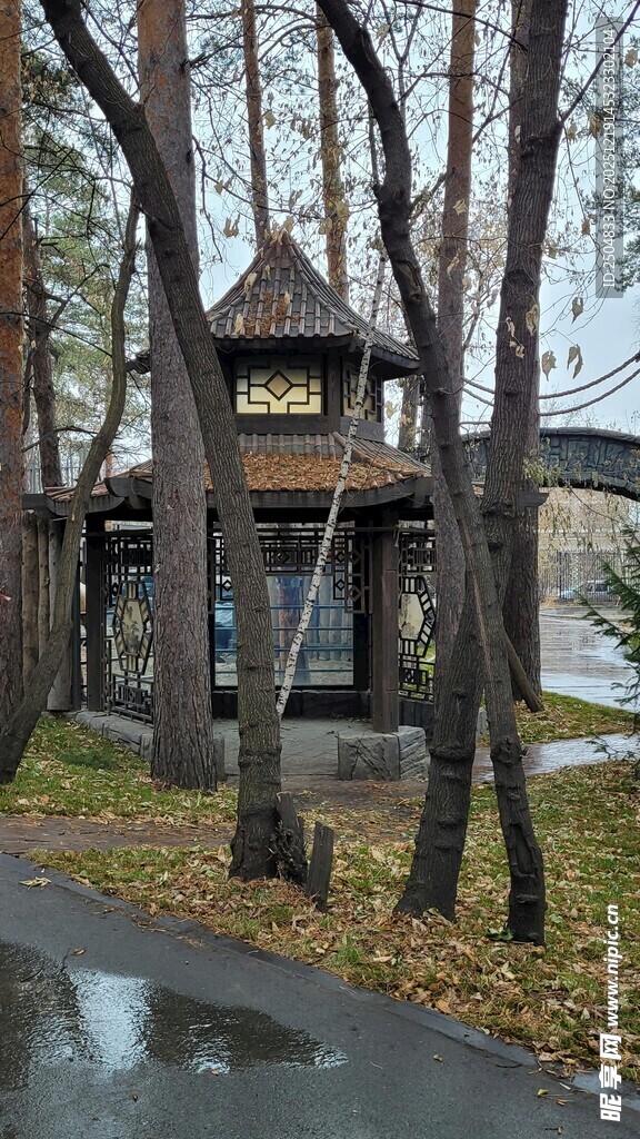 林间木屋 静谧的秋日景致