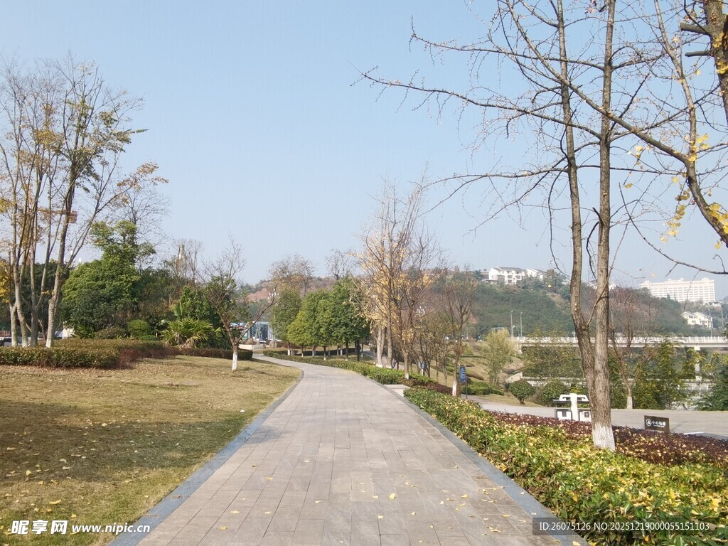 冬日公园幽静小路