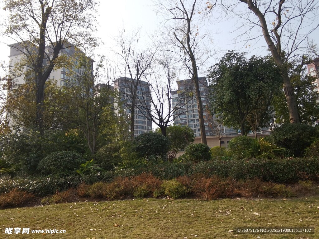 城市中的自然景观