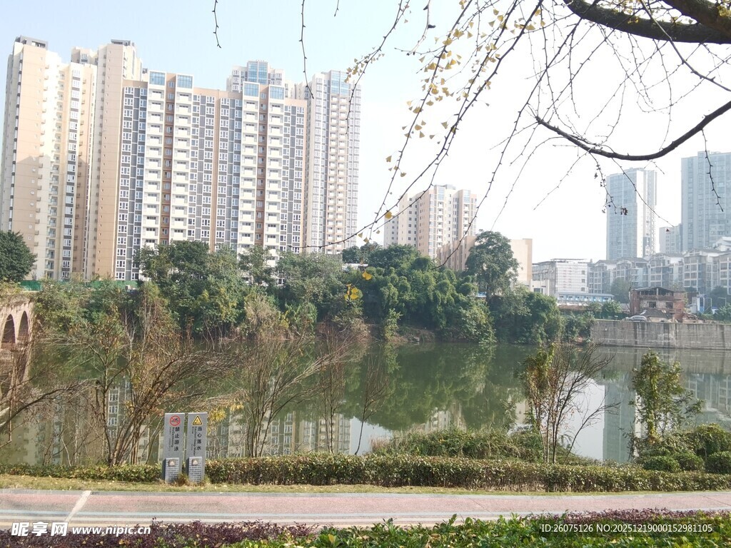 城市湖畔风景