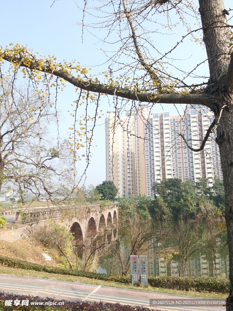 河畔桥景与林立高楼