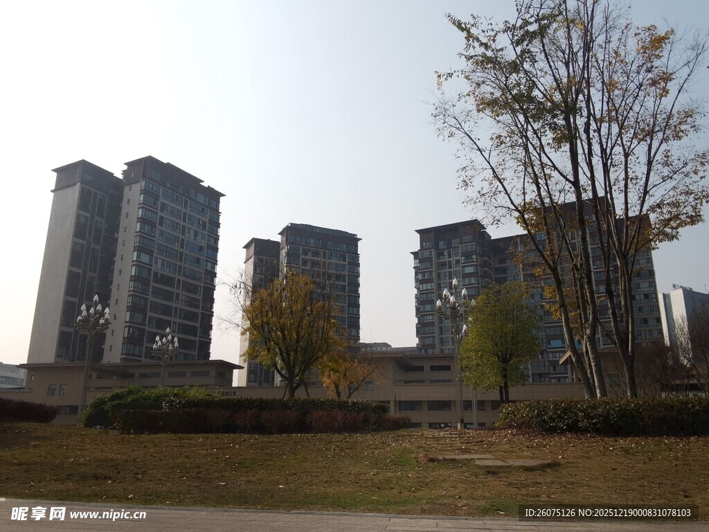 城郊住宅区景观