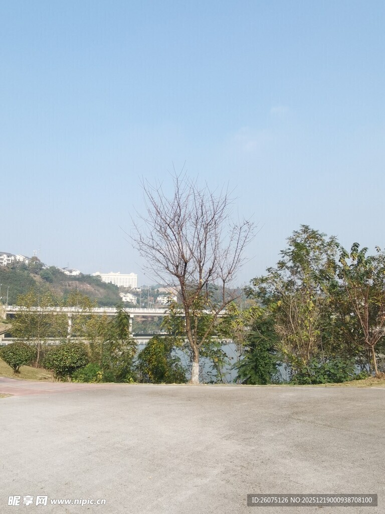 户外开阔场地景观