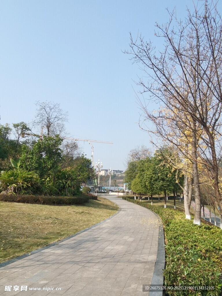 郊外宁静小路绿植相伴