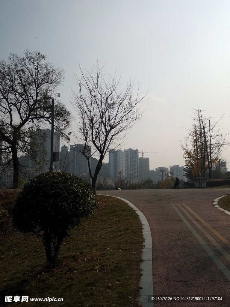 城市公园中的空旷步道