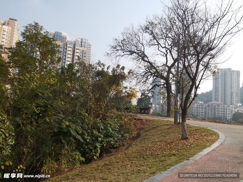 城市公园中的蜿蜒小径