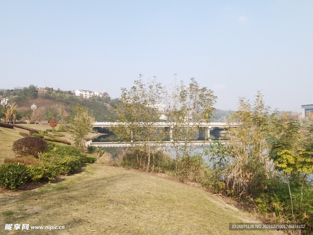 河畔自然风光美景