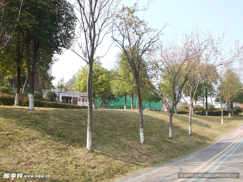 春日公园小径风景