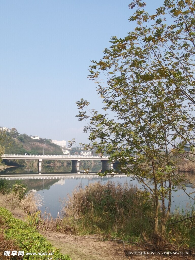 湖畔绿树与远处桥梁风景