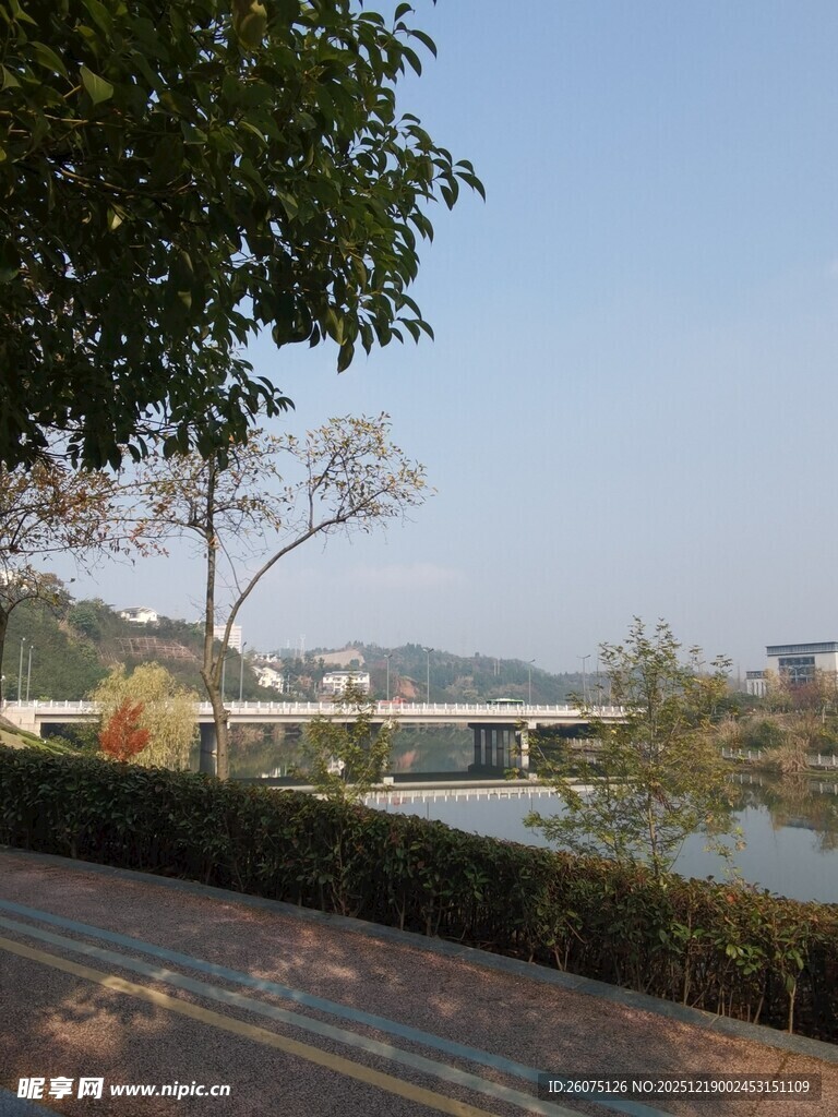 河畔风景绿树相伴