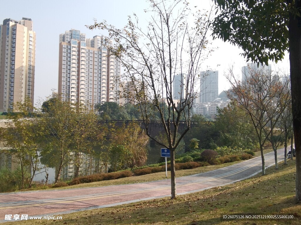 城市河畔公园风景