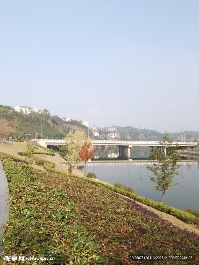 河畔绿植与远处桥梁风景
