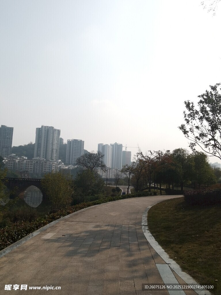 城市中的宁静小路景观