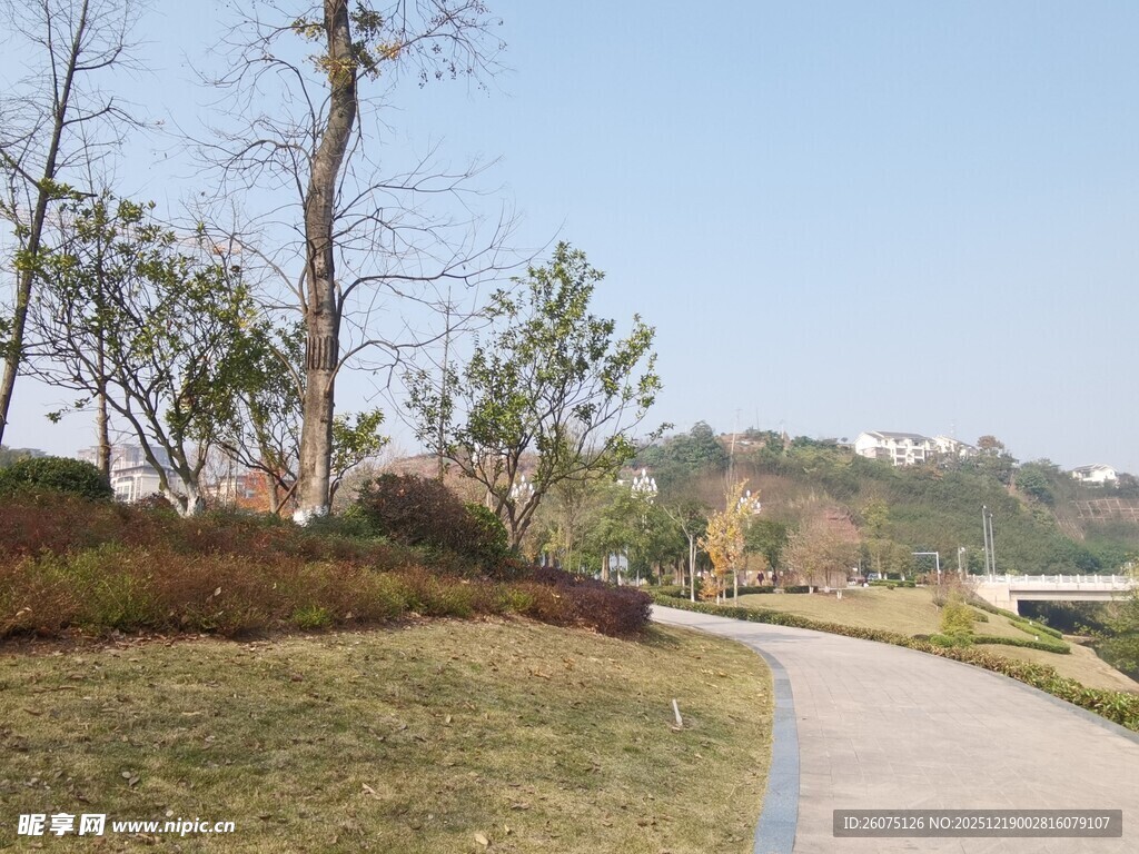 郊外蜿蜒小路旁的自然景致