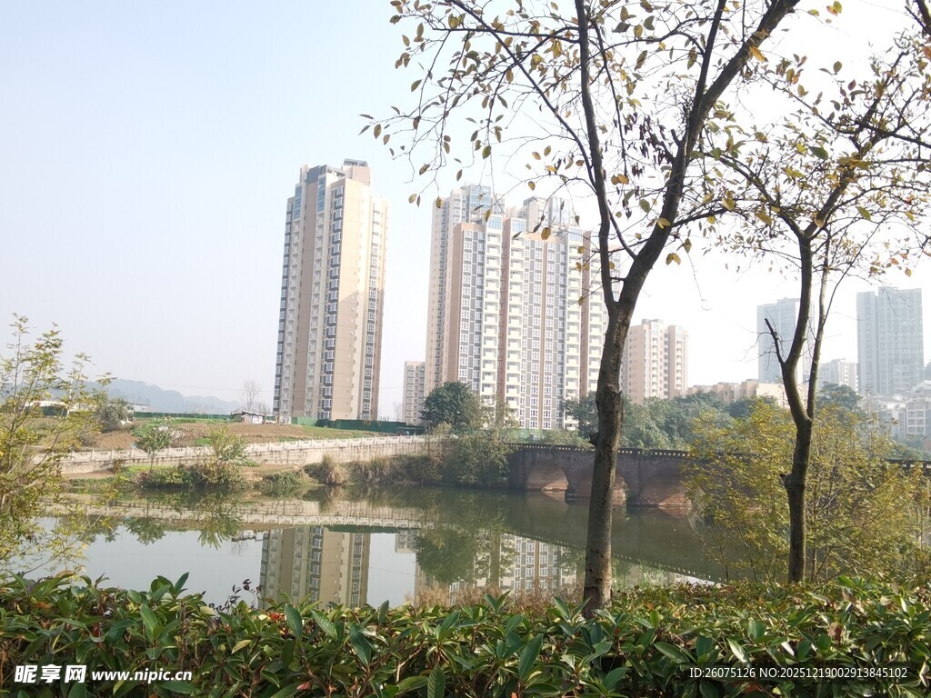 湖畔高楼与树木景致