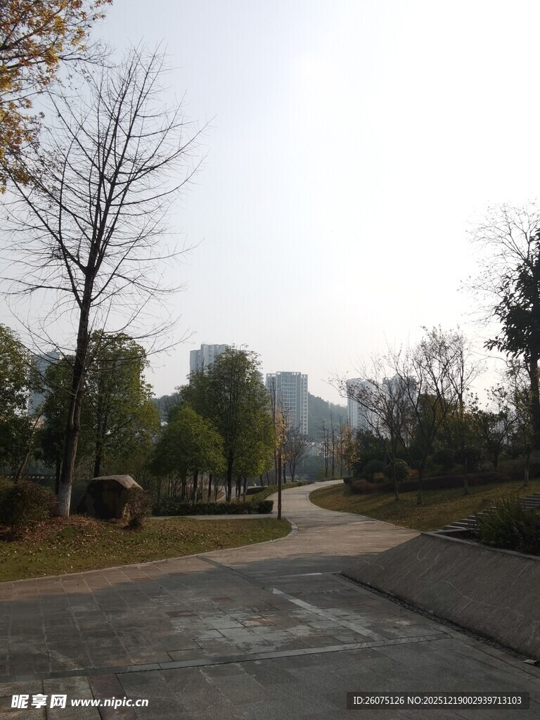 城郊静谧道路风景