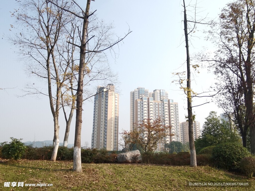 城郊高楼与树木景观