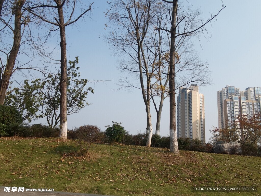 城市公园冬日景致