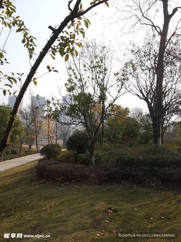 户外静谧园林景致