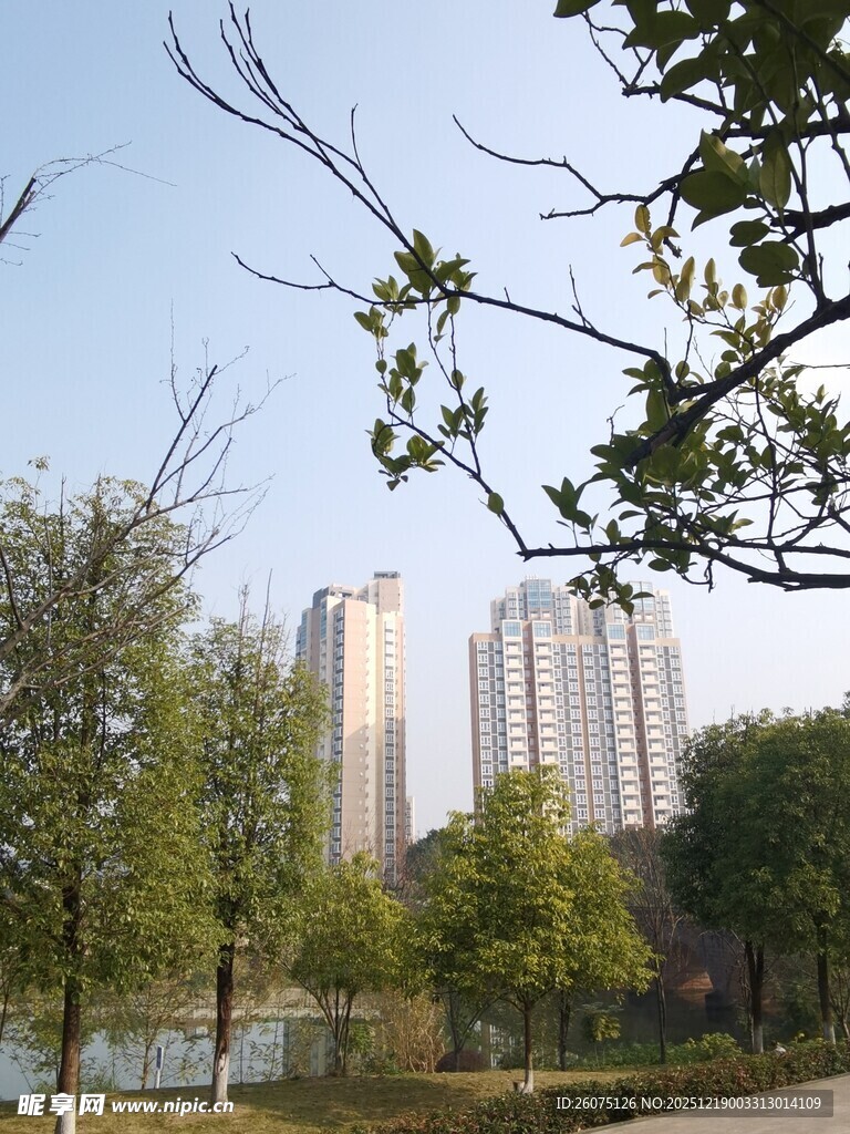 城市公园湖畔风景