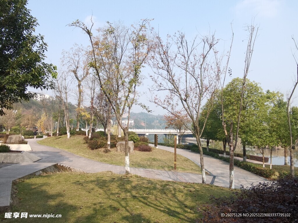 城市公园的宁静景致