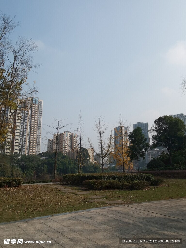 城市公园景观
