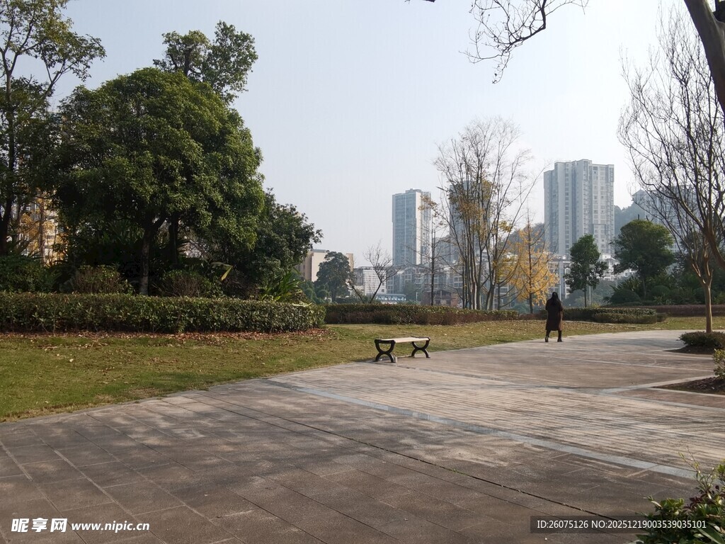 城市公园中的休闲漫步场景
