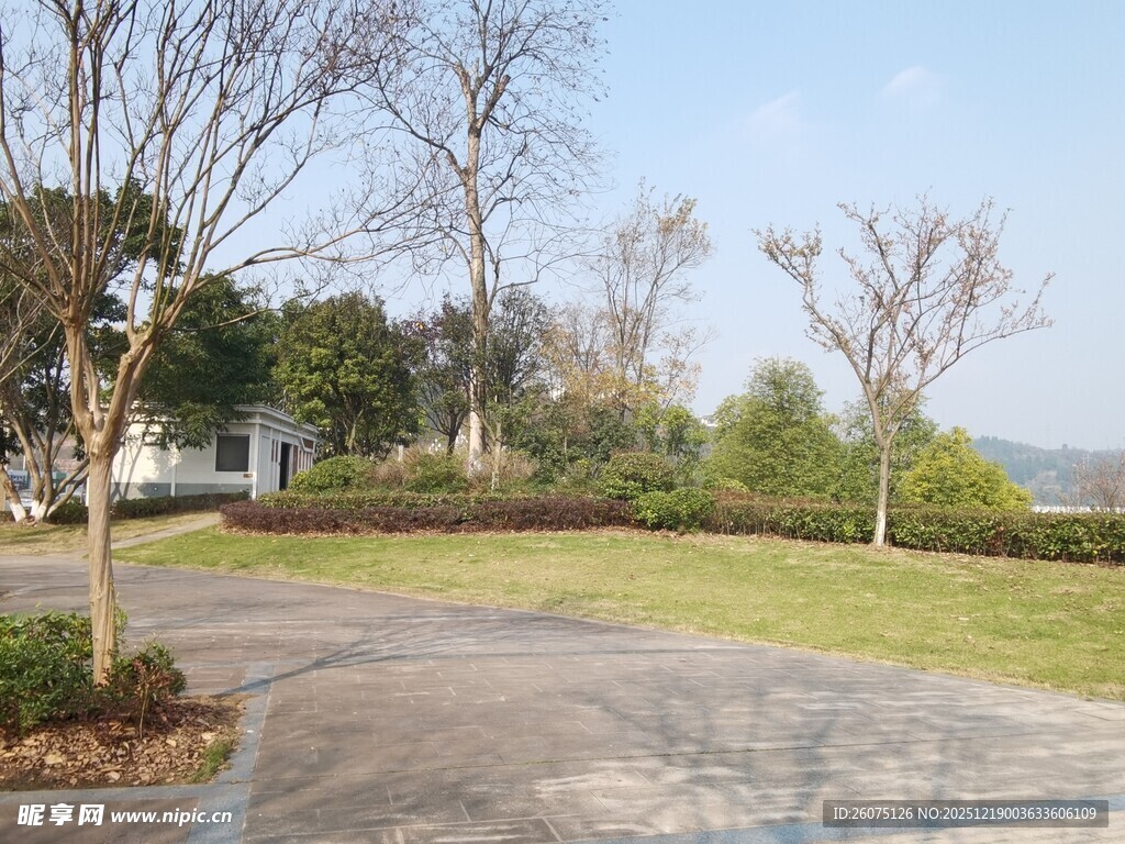 户外开阔的休闲绿地场景