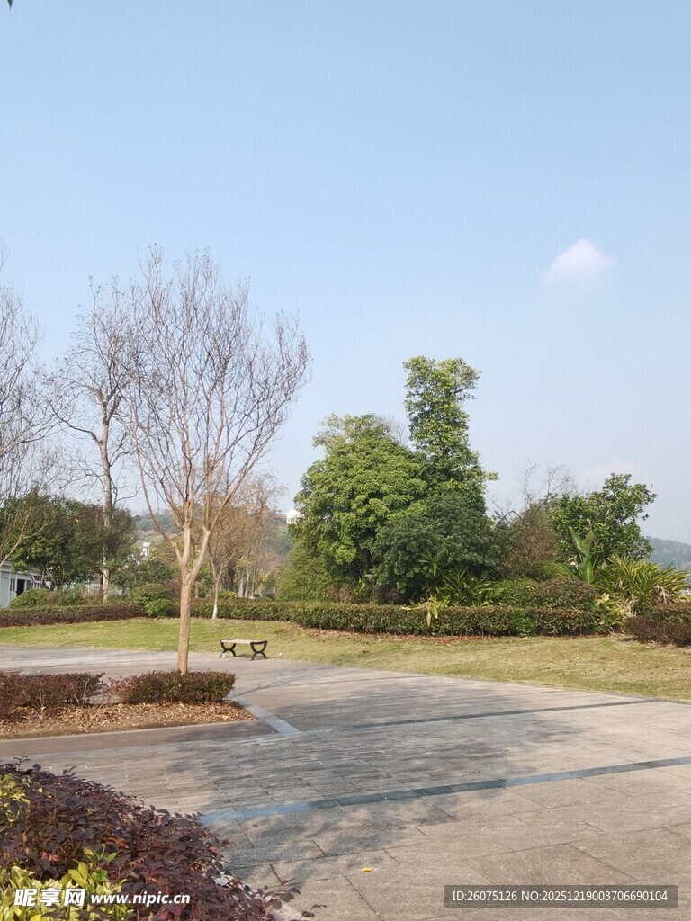 户外开阔的绿化景观区域