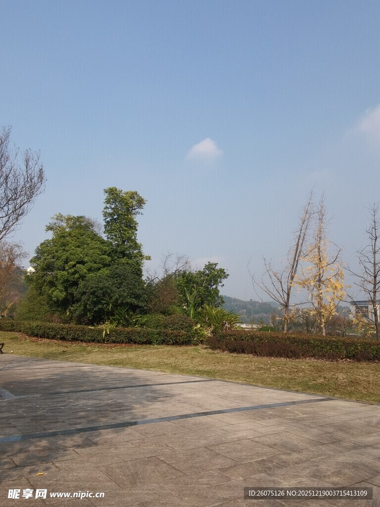 郊外开阔道路旁的绿植景观