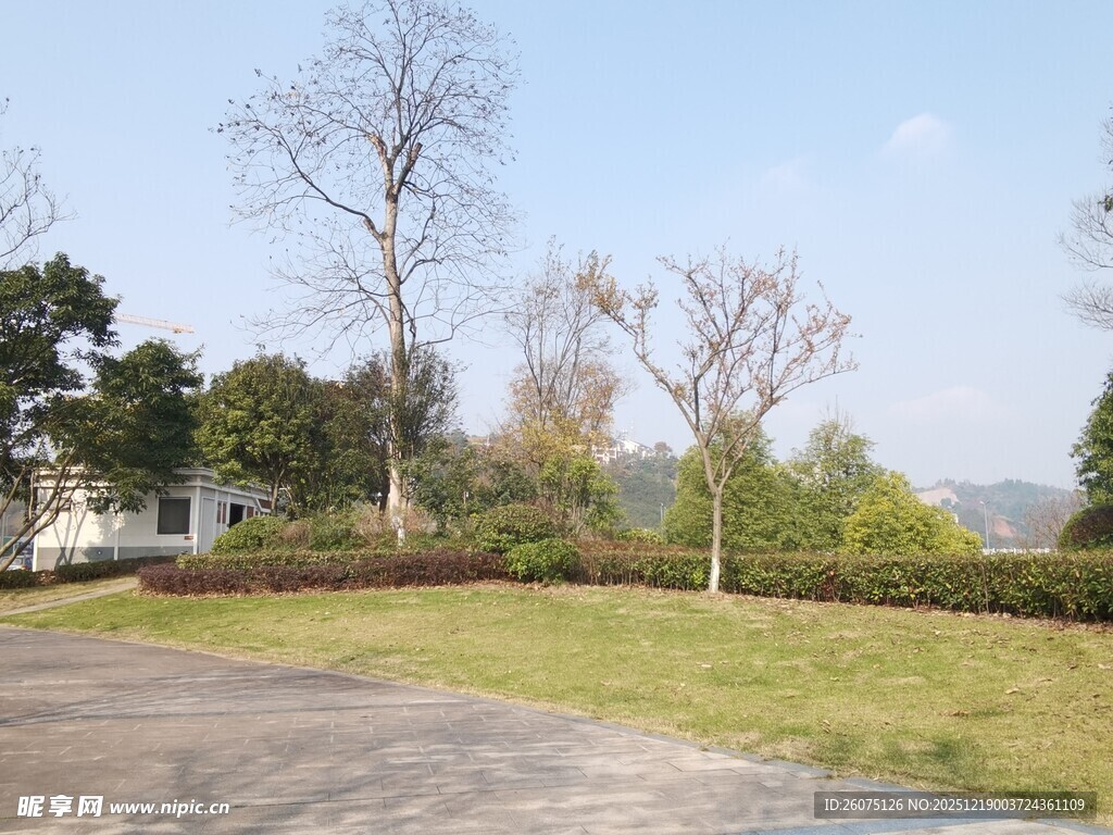 户外开阔的草地与树木景观