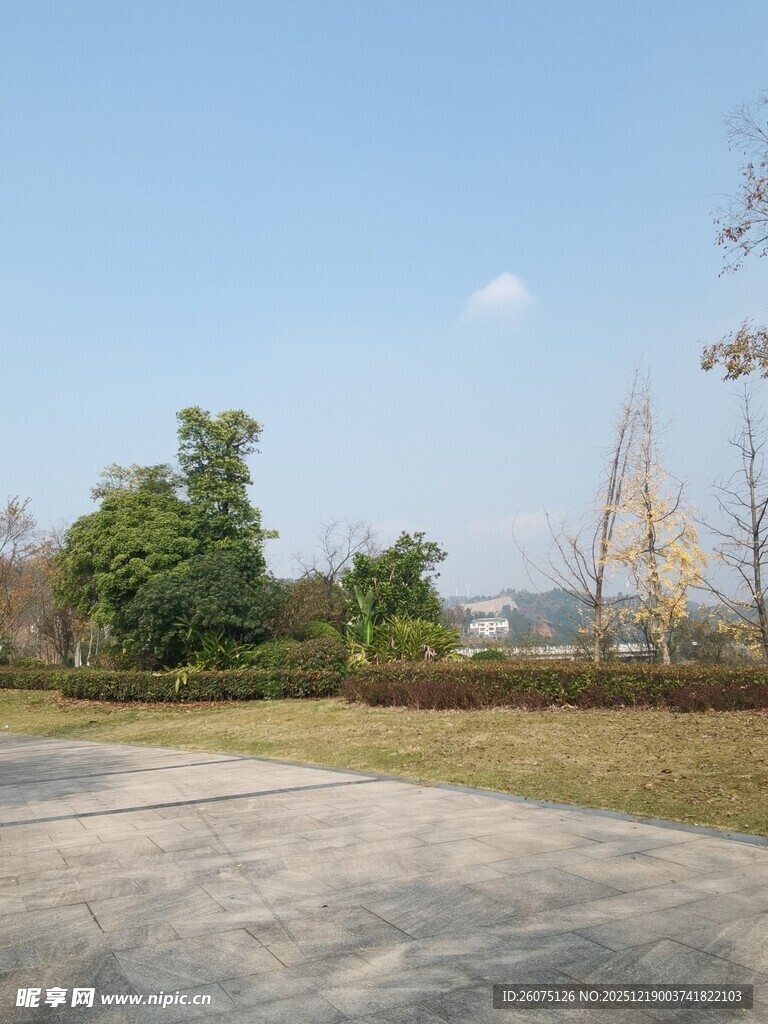 户外开阔的自然空地