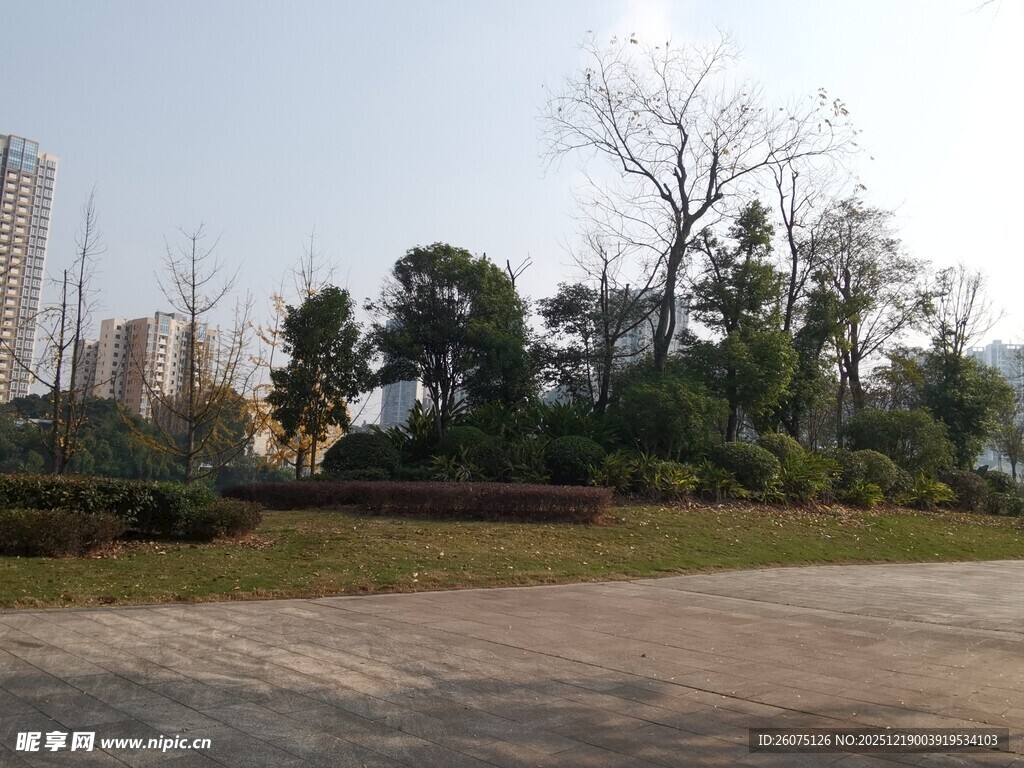 城市公园的开阔景致