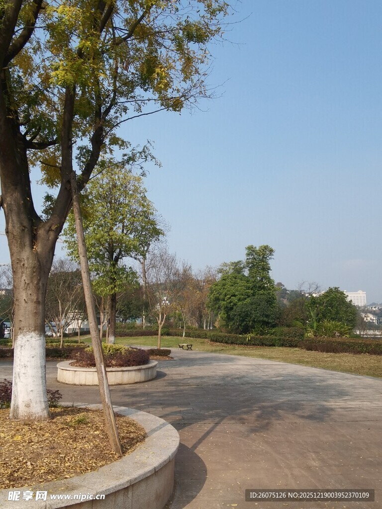 公园中的弯曲小路与树木