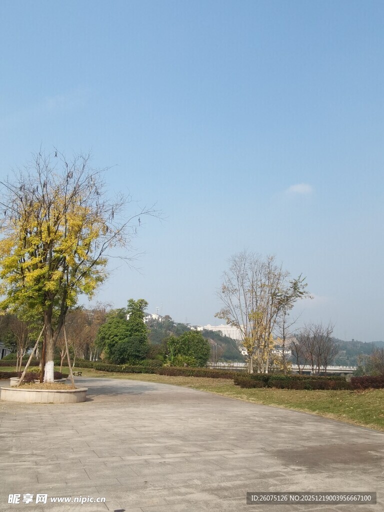 空旷户外场地及树木景观